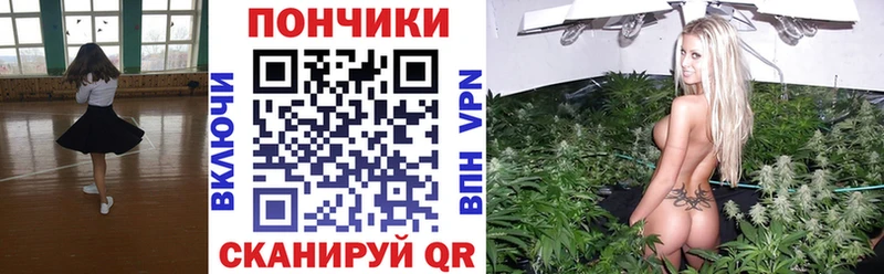 Конопля OG Kush  Черняховск 